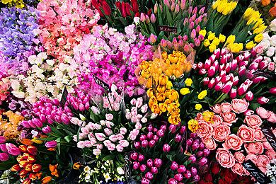 全面坦克战略官将于2023年3月30日发售